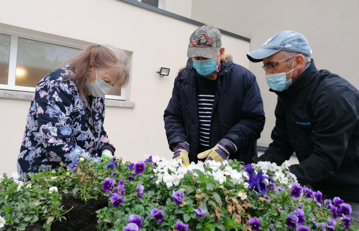 Jardinage à la résidence Le Chanzy