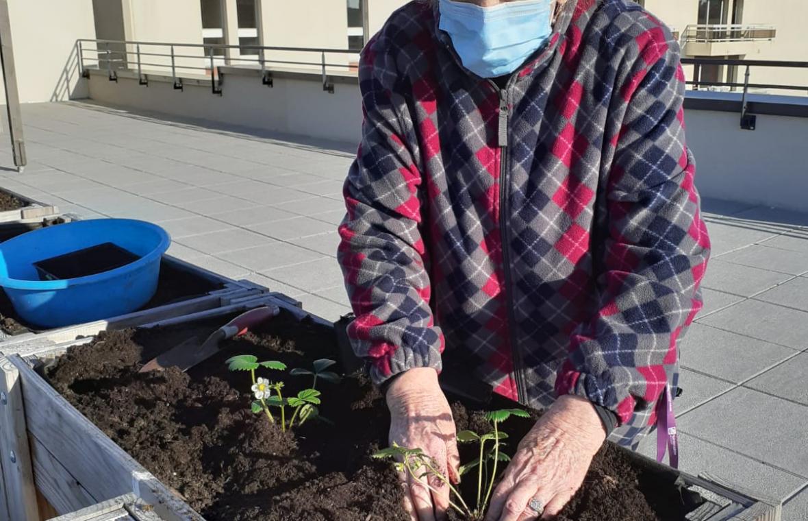 Aménagement des carrés potagers