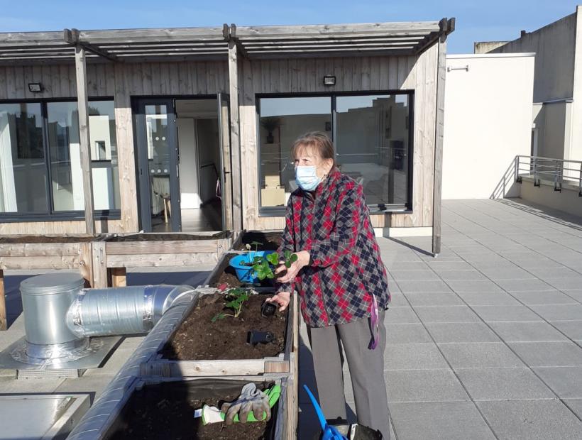 Aménagement des carrés potagers